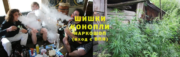 стаф Волосово