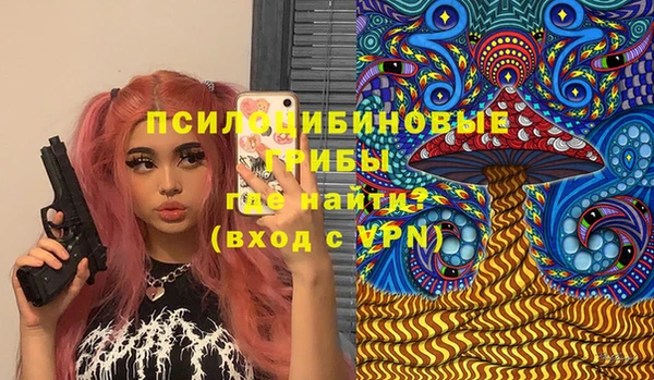 стаф Волосово