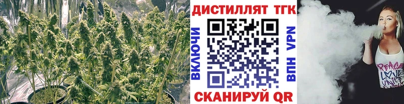 ТГК вейп как найти закладки Льгов